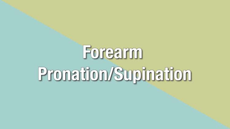 Pronation and Supination of the Forearm. Pronation and Supination