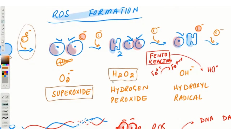 G6PD Enzyme Deficiency and COVID-19