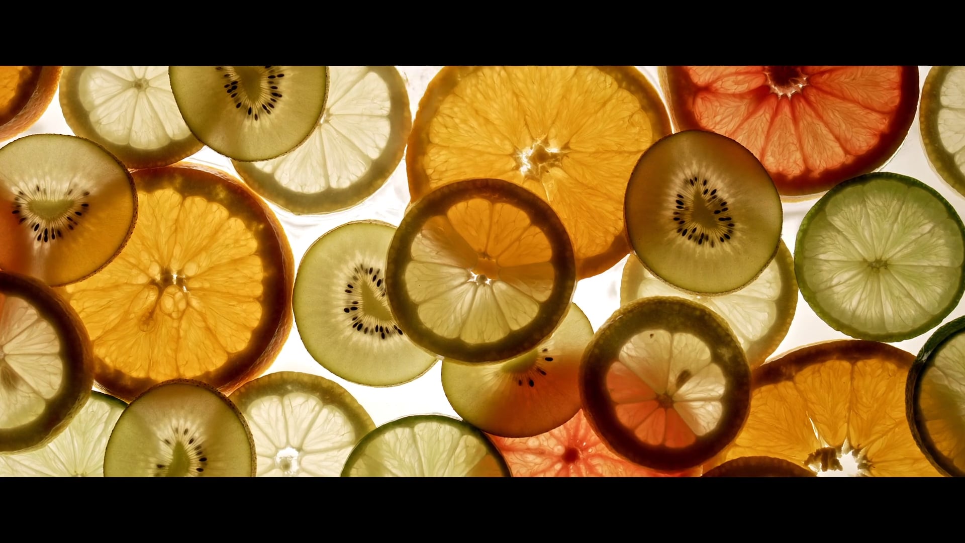 ADHOKERS NAVARRA REEL
