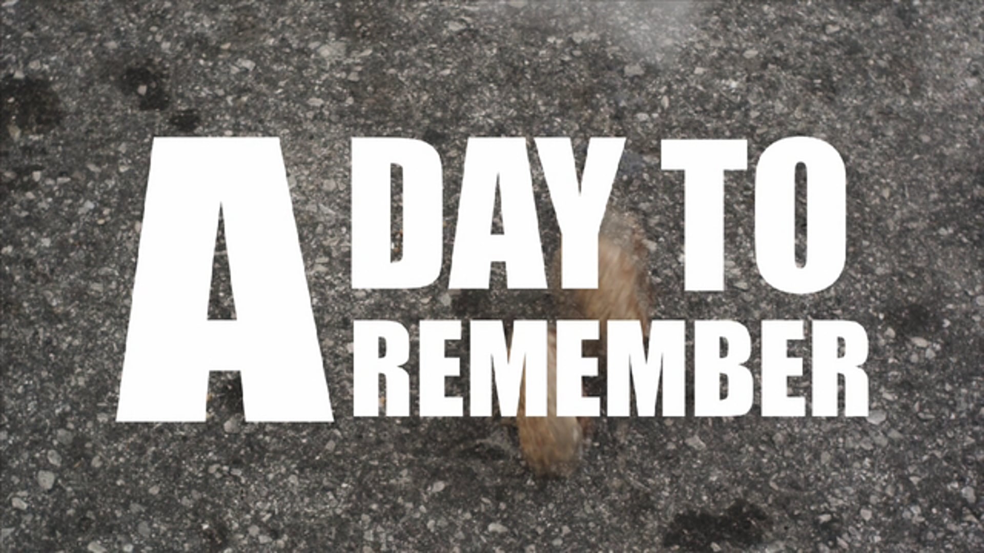 A Day To Remember (Behind the Scenes)