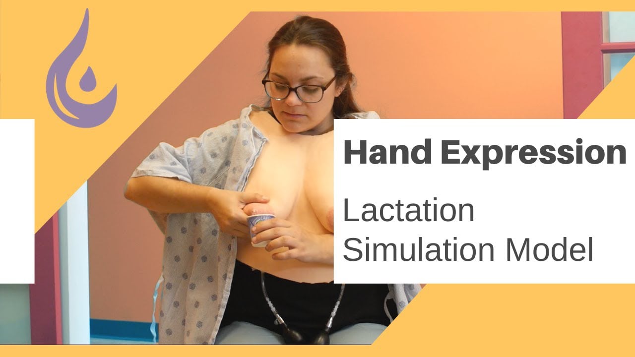 Hand Expression Trainer Lactation Simulation Model