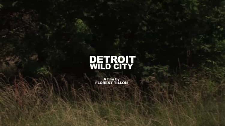 DETROIT WILD CITY BURTON THEATER TEASER