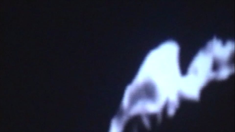 Ana Deus
Directed by André Principe and António Júlio Duarte
