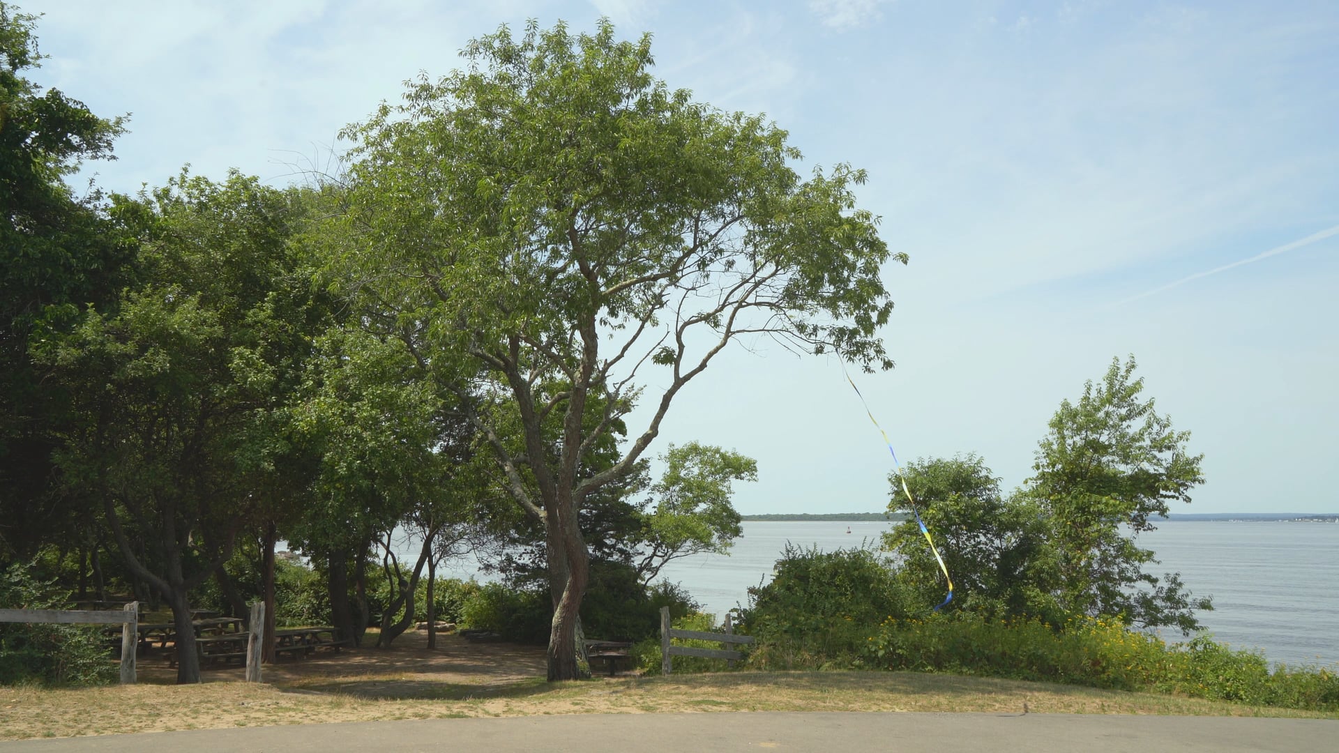 Colt State Park Performance, 2018