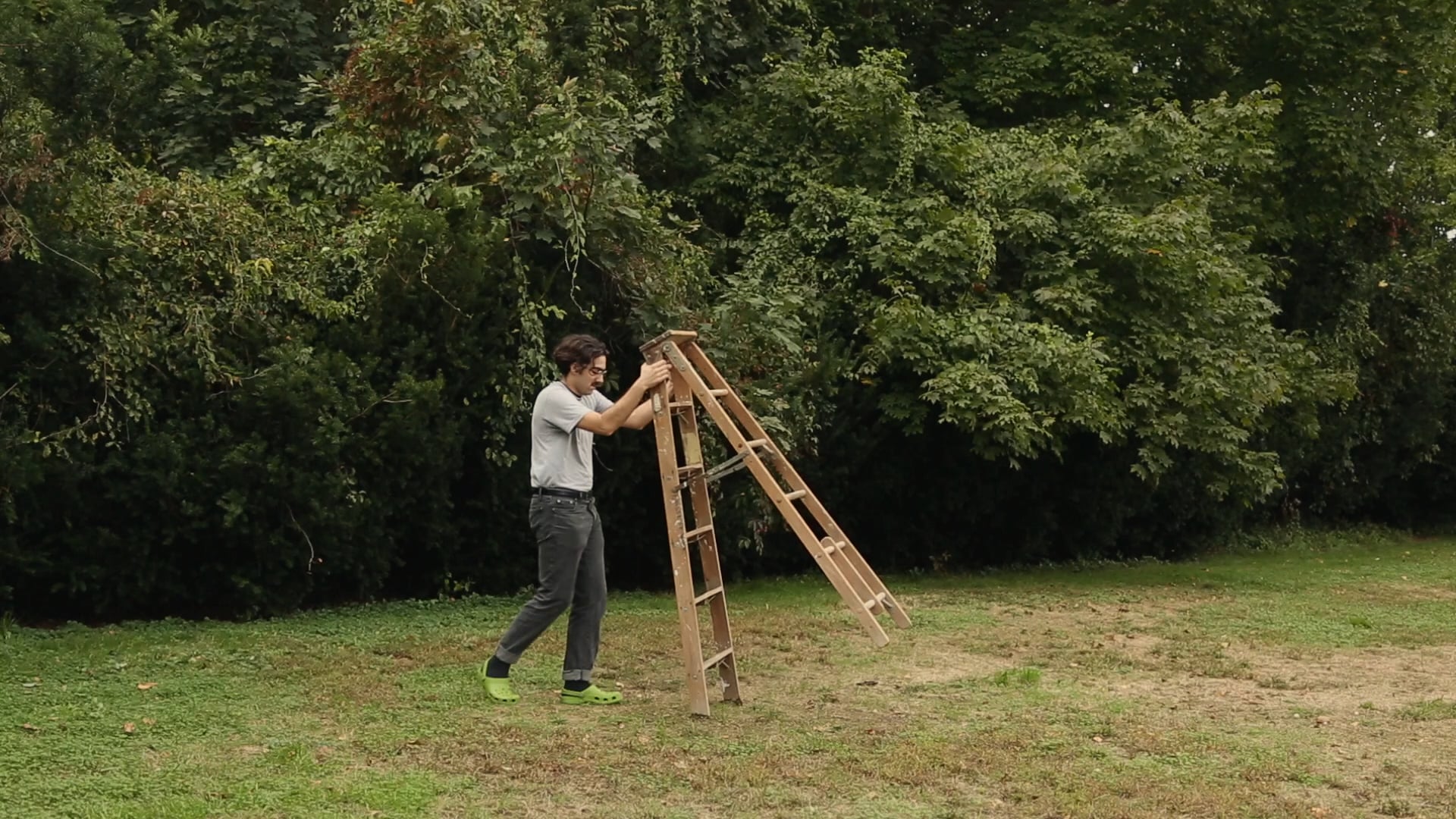 Grandpa's ladder, 2018