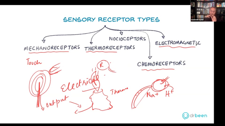 Sensory Receptors in Skin (Webinar Recording)