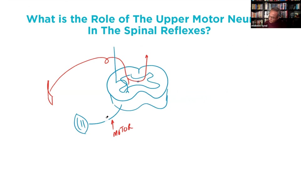Webinar - Lower Limb Reflexes and Upper Motor Neuron Lesion (Part 2)