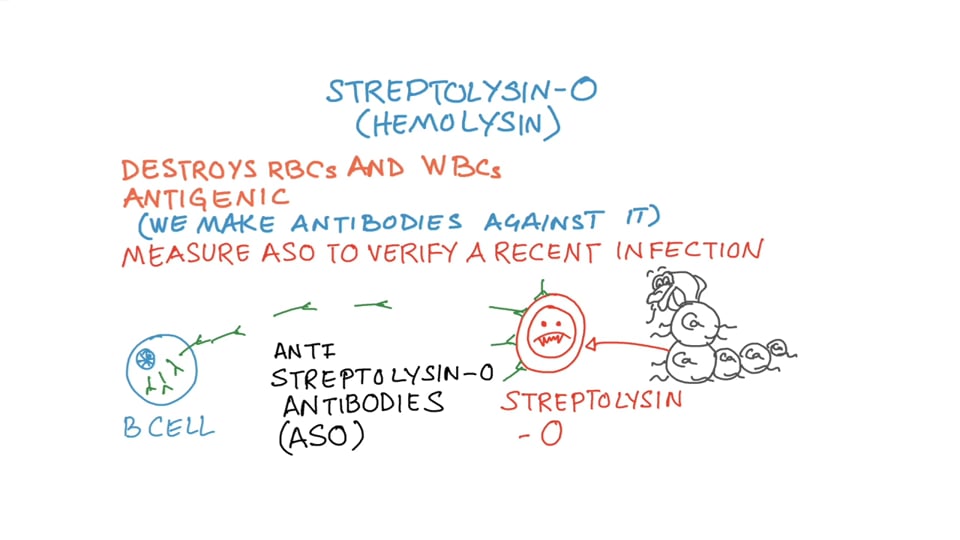 Streptococcus Pyogenes - Clinical Foundations