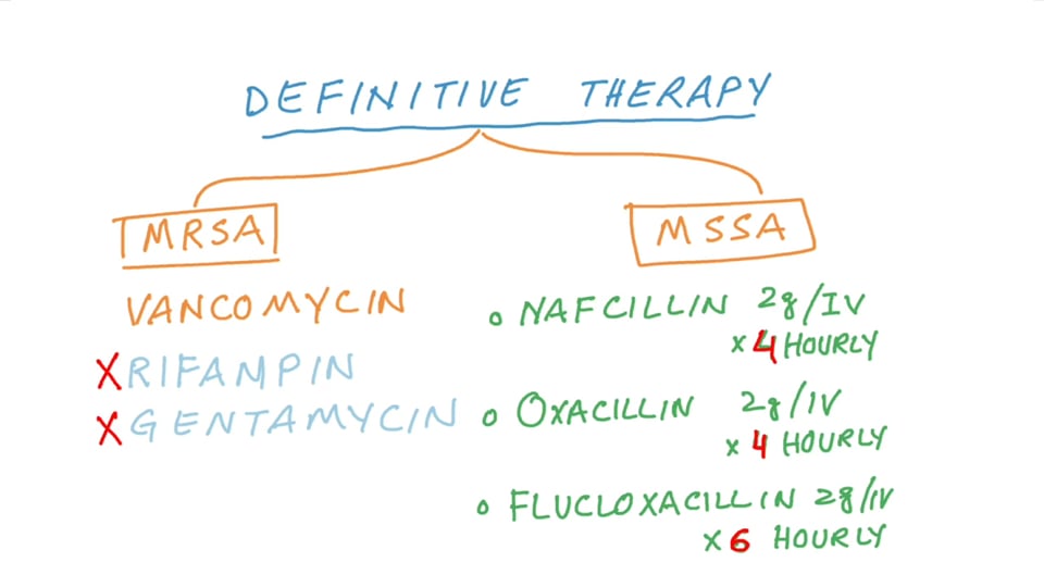 Current Approaches to Acute Infective Endocarditis (Staphylococcus Series)