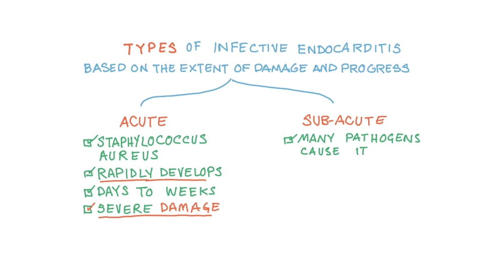 Staphylococcal Infective Endocarditis - (Staphylococcus)