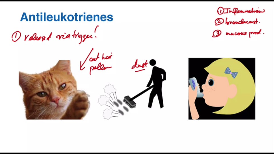 Clinical Application of Respiratory Drugs (Part 2)