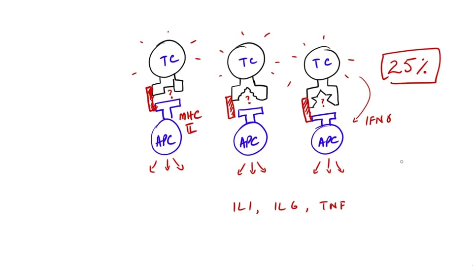 Why do superantigens cause cytokine storm?