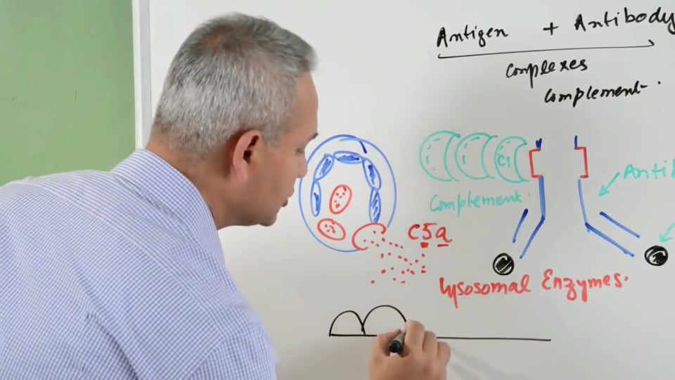 Type III Hypersensitivity Reactions (part 1)