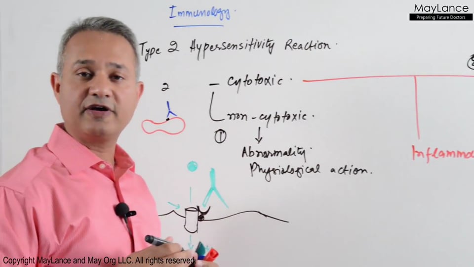 Type II Hypersensitivity Reactions