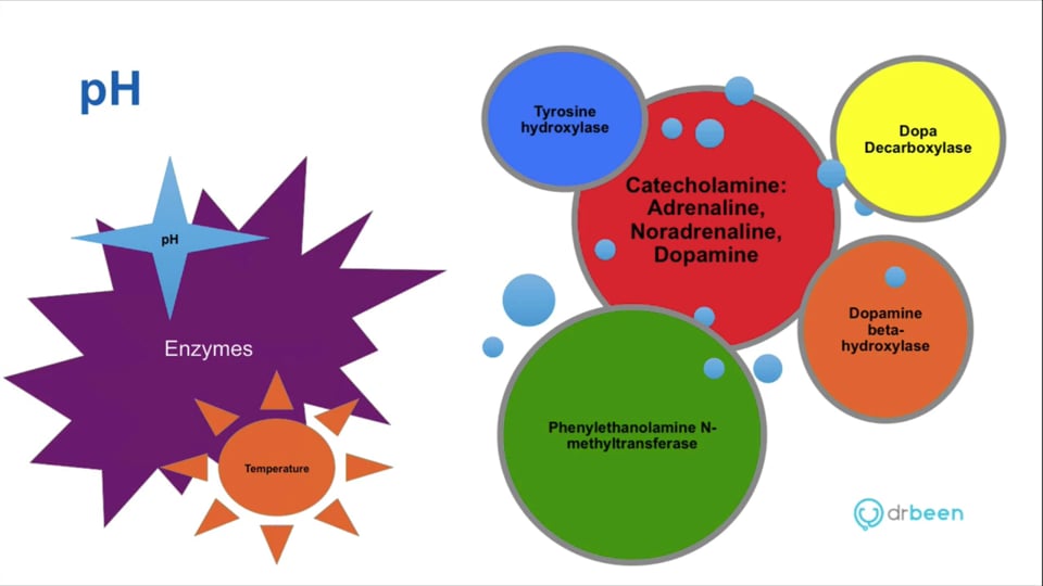 Acid Base Disorders