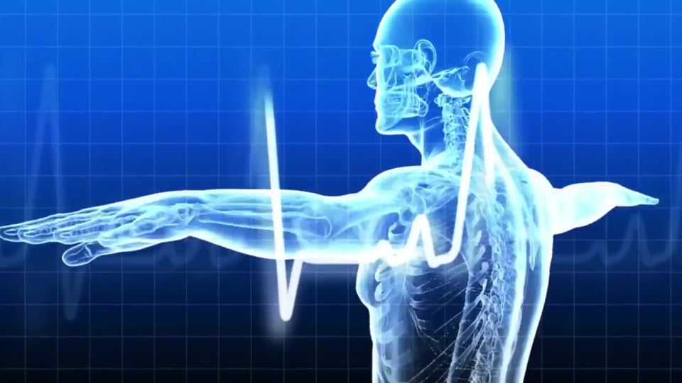 Penicillin: Mechanism of Action