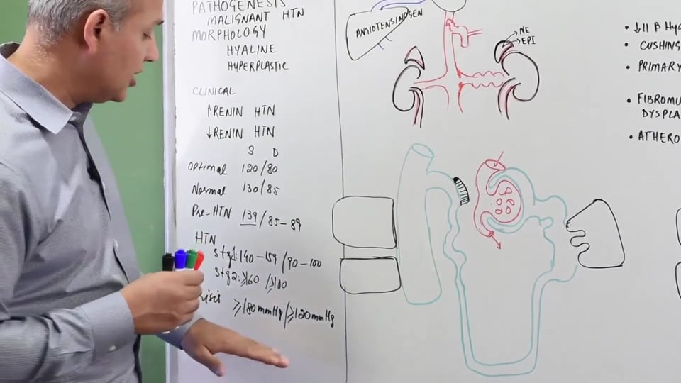 Hypertension - Pathogenesis