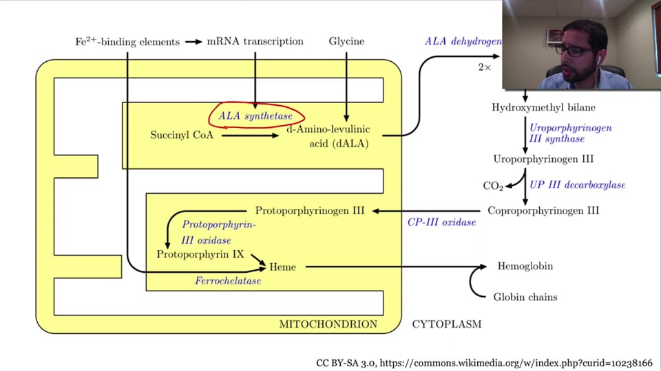 Clinical Aspects of Hemolytic Anemia