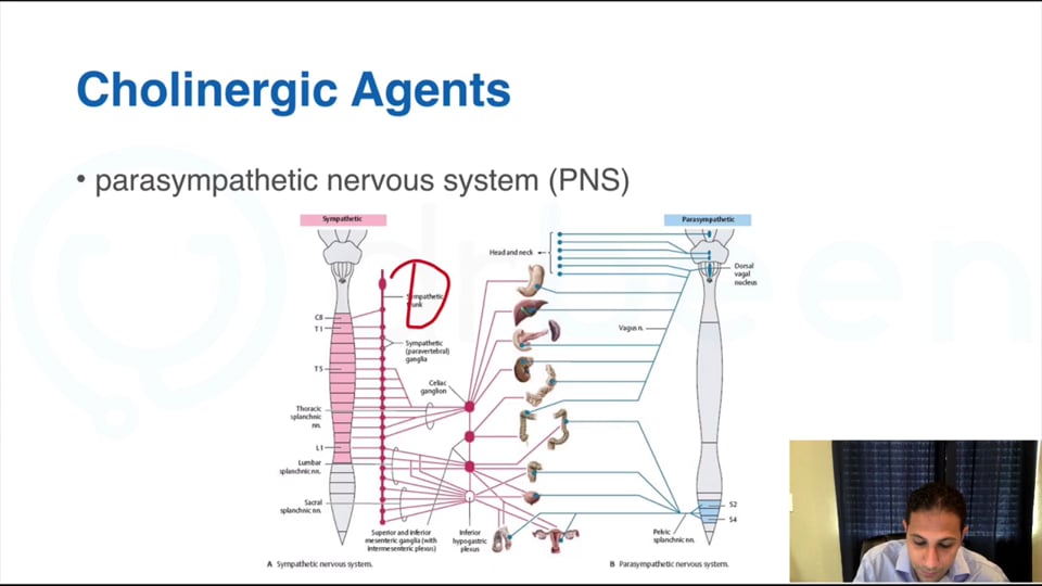 Clinical Application of Cholinergic Drugs/Cholinergic System