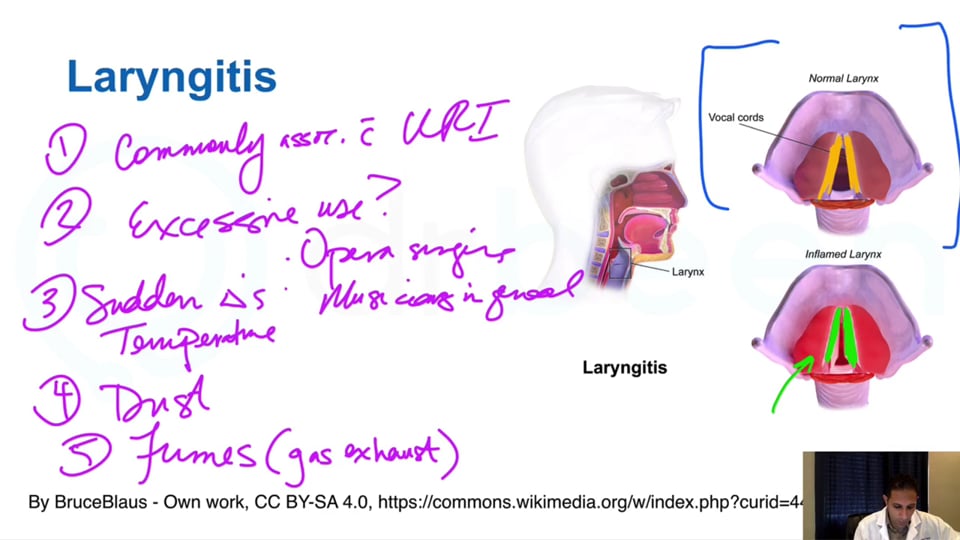 Ear Nose And Throat (ENT) | DrBeen