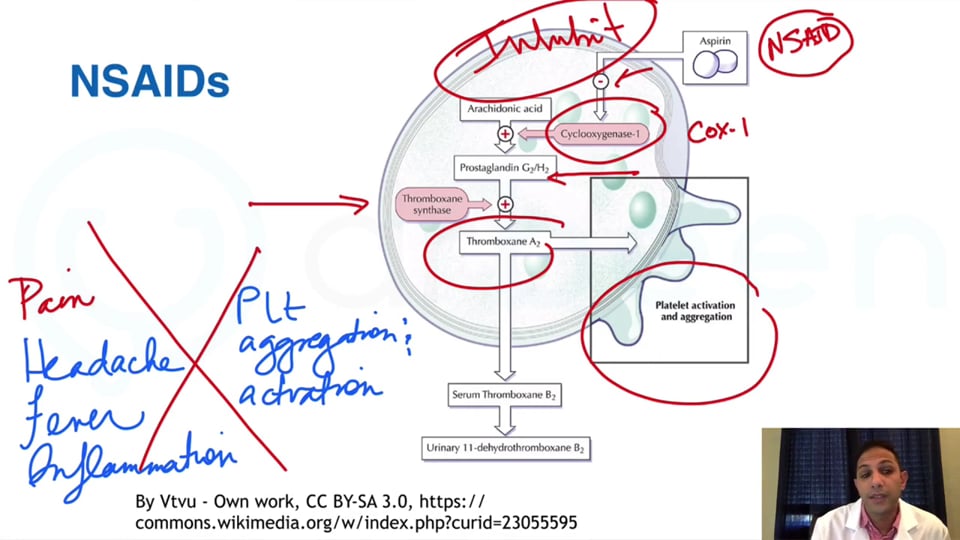 Clinical Applications of Anti-Inflammatory/Anti-Histamine Drugs