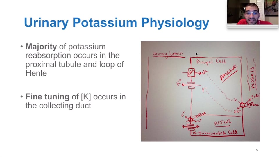 Hyperkalemia and Its Management