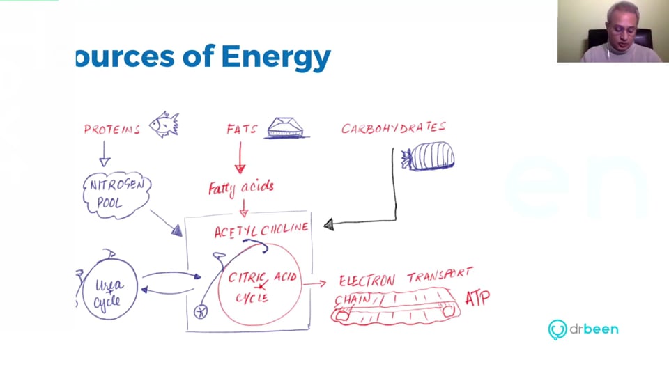 Pathogenesis of Peripheral Insulin Resistance (Managing Type II Diabetes Mellitus - Part 2. Webinar)