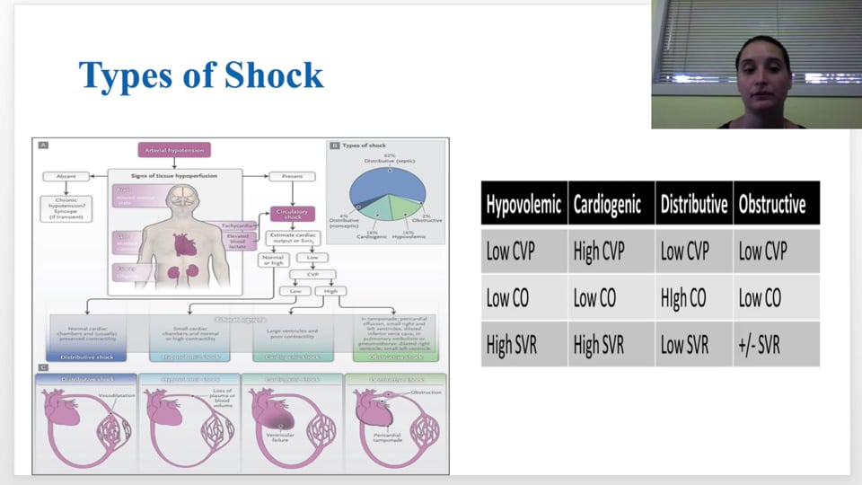 Shock: Pharmacological and Hemodynamic Implications