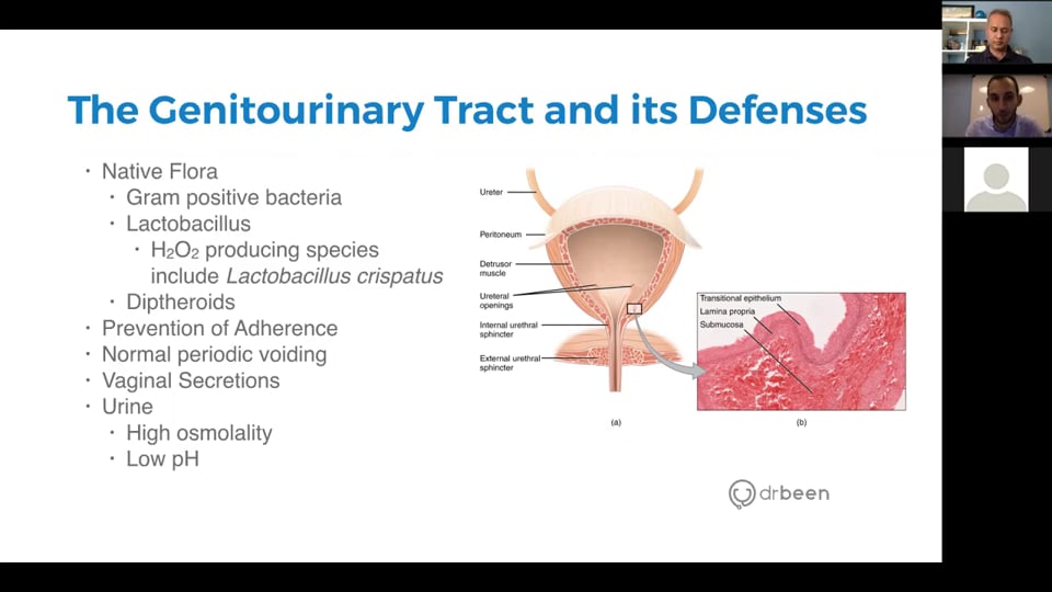 Atypical Urinary Tract Infections: Common Challenges and Solutions