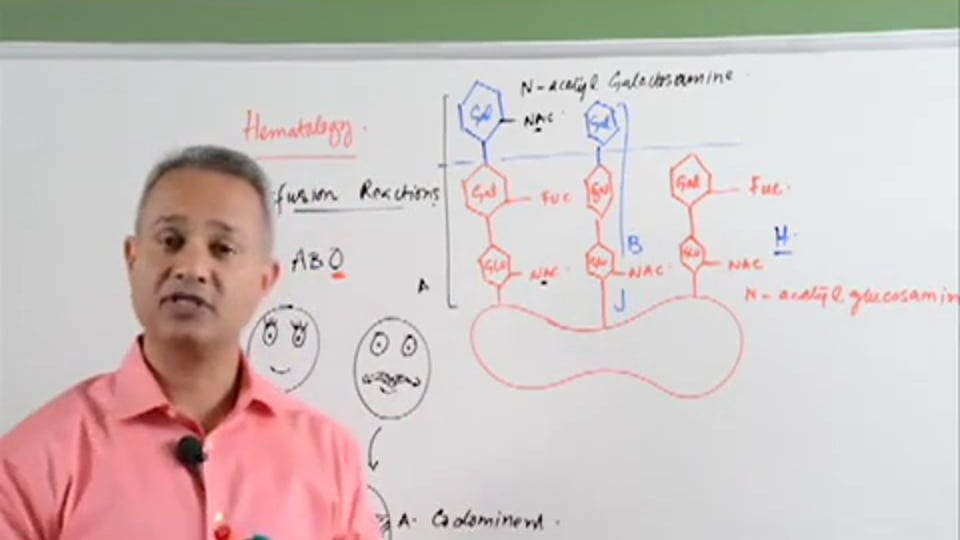 Blood Transfusion Reactions: (Part 1)