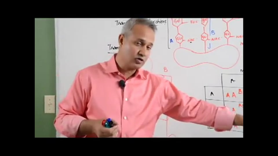 Blood Transfusion Reactions: (Part 3)