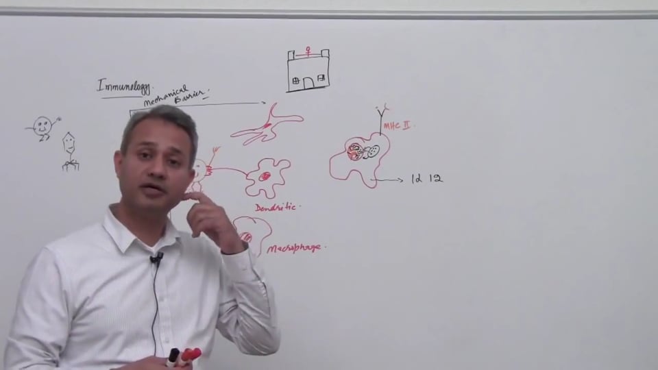 Overview (Innate and Acquired Arm - 3)