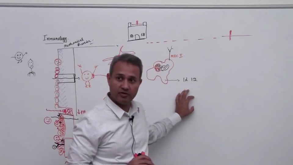 Overview (Innate and Acquired Arm - 4)