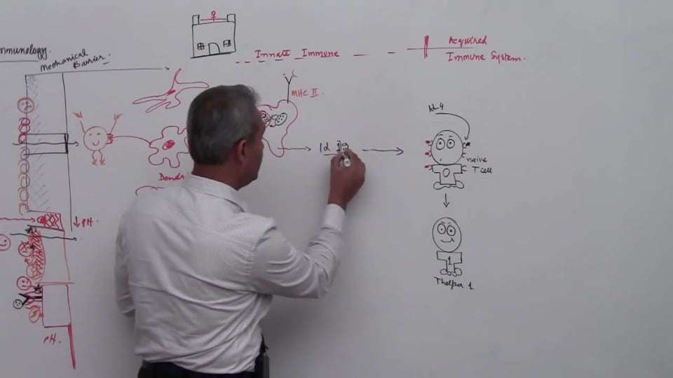 Overview (Innate and Acquired Arm - 5)