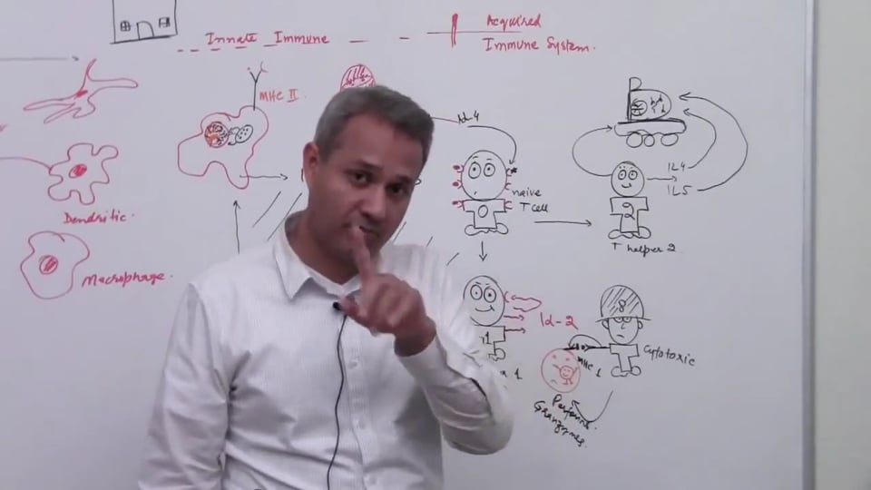 Overview (Innate and Acquired Arm - 6)