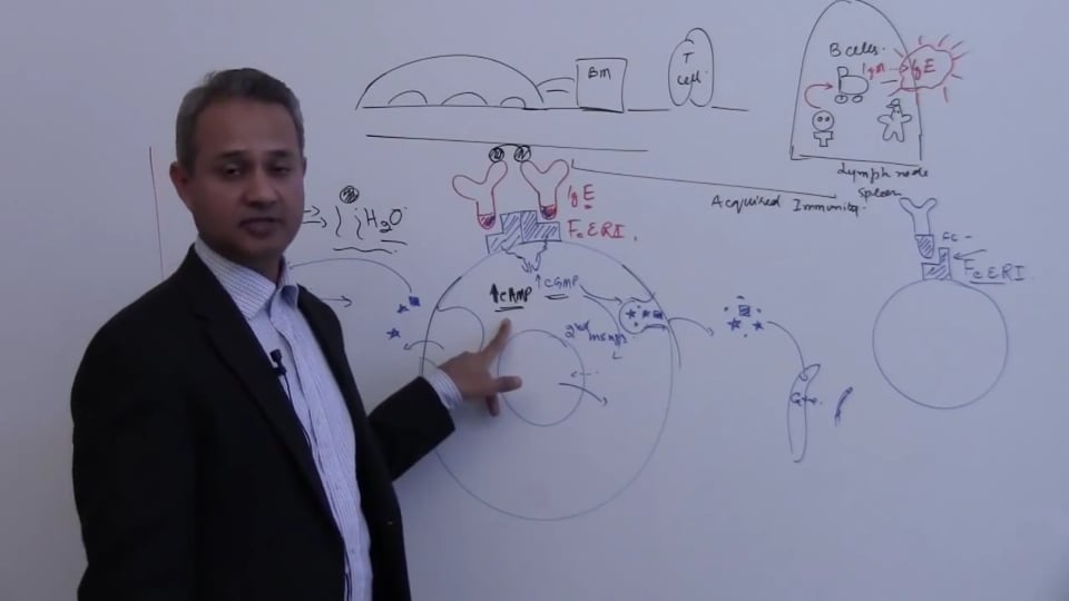 Mast and Basal Cells (Part 3)