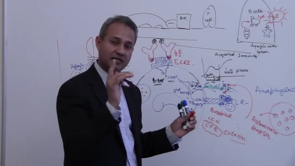 Mast and Basal Cells (part 6)