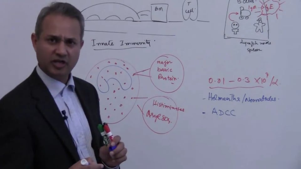 Mast and Basal Cells (Part 7)