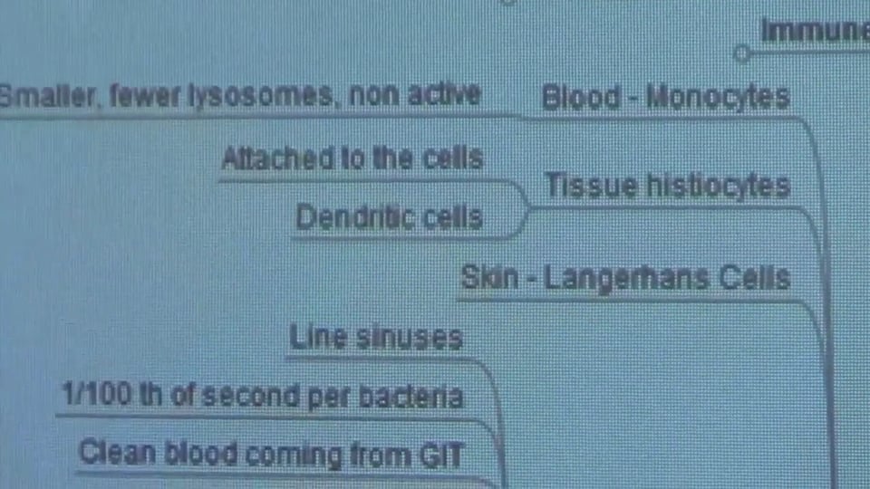 Macrophages (Part 3)