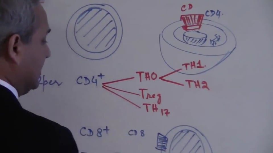 T Cells (part 1)