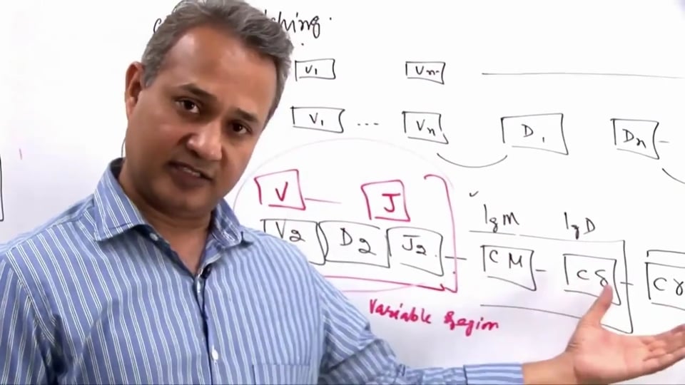 B Cell Functions (part 9)