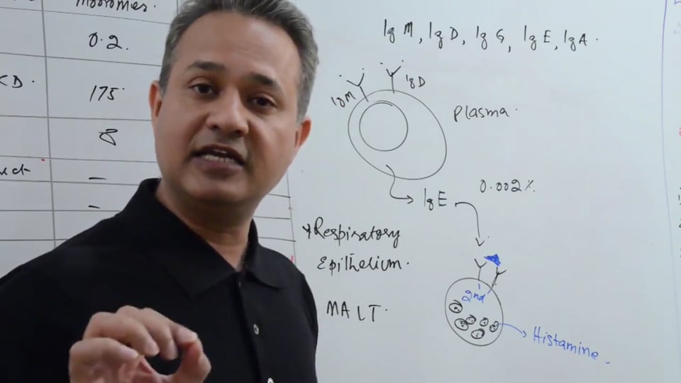 Immunoglobulins (Part 7)