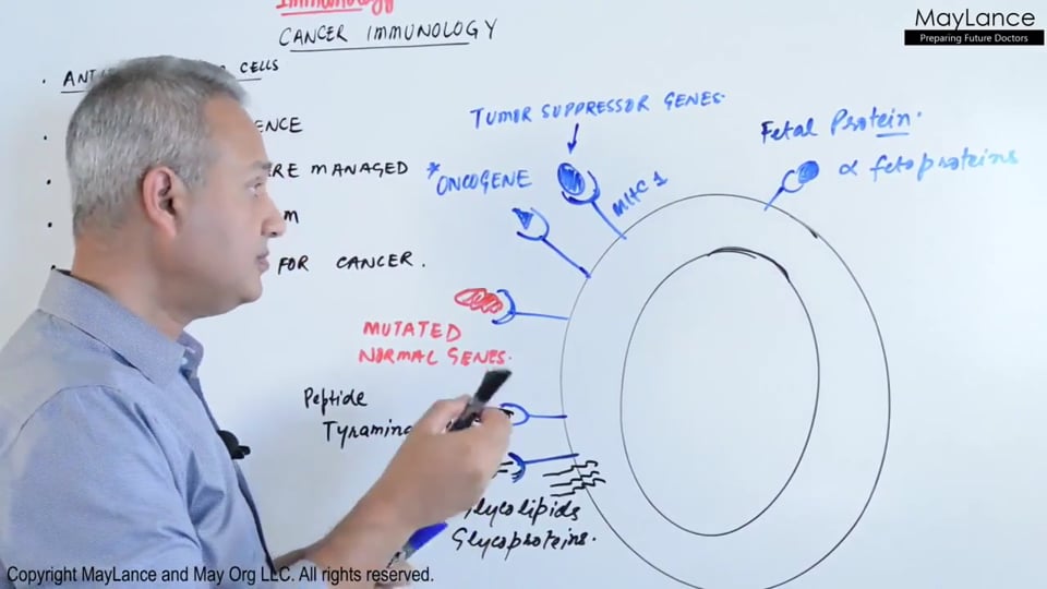 Tumor Immunity