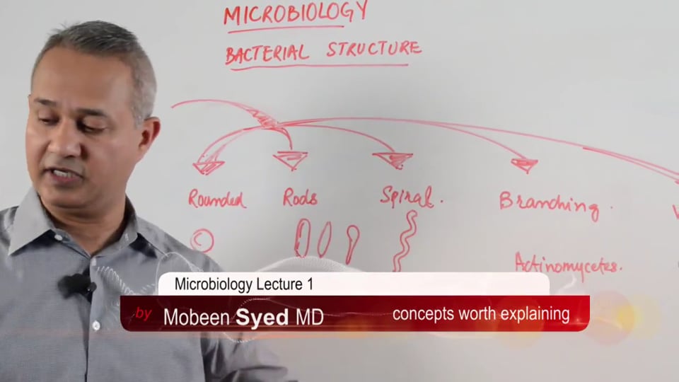 Microbiology: Bacterial Nomenclature