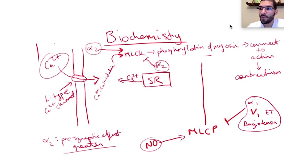 Cardiac Drugs: Inotropes, Vasopressors, and Vasodilators Part 1