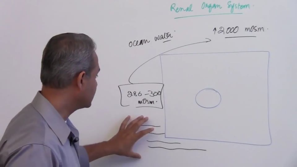 First Session-Renal Physiology: (part 1)