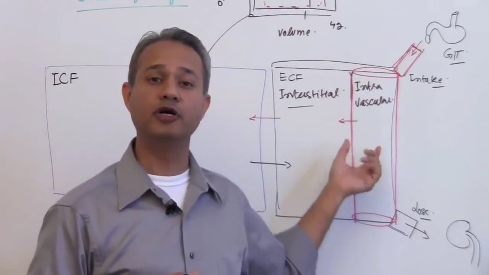 First Session-Renal Physiology: (part 2)