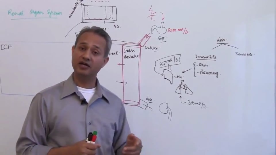 First Session-Renal Physiology: (part 3)