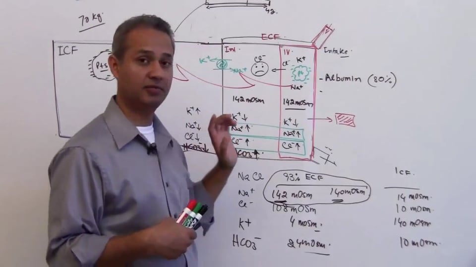 Second Session-Renal Physiology: (part 3)