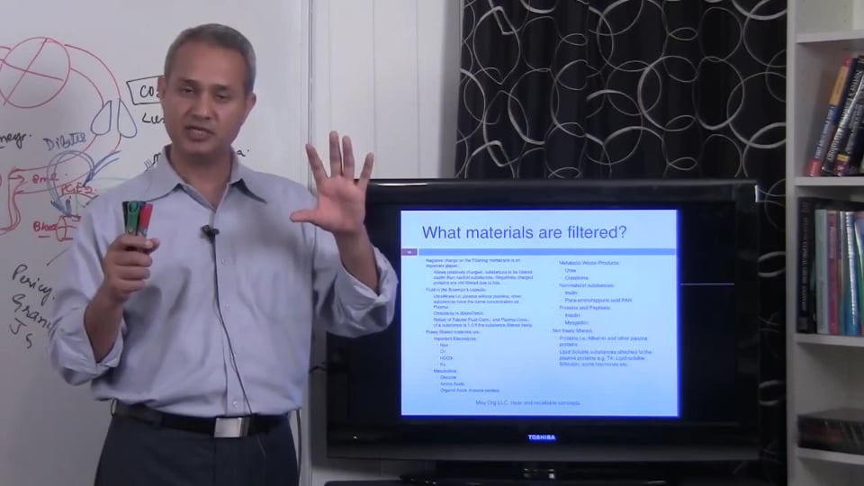 Fundamental of Renal System Lecture 2 Part 5/6